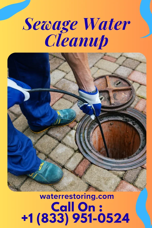 Sewage Water Cleanup in Chatham, IL